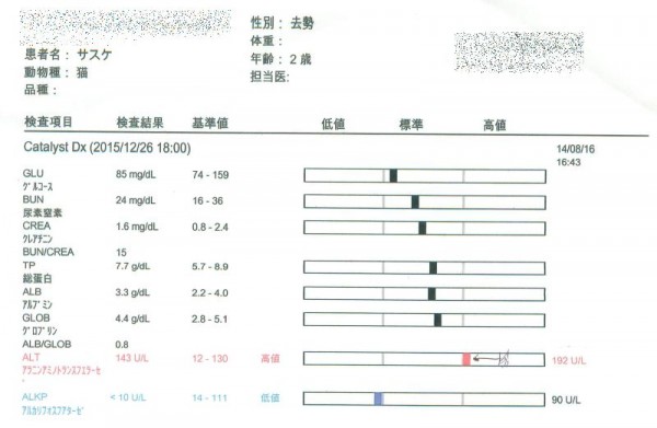 サスケ、2015年末の血液検査結果