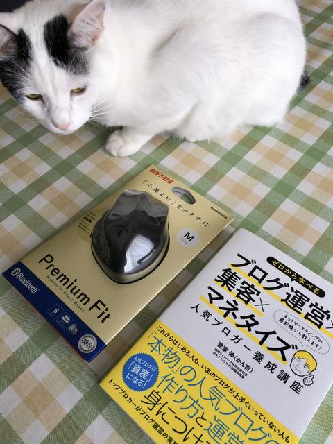 猫(サスケ)は商品ではありません