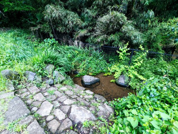 町田市非公認の萌えキャラ 町田まどか にニヤリとさせられた Hinemosu